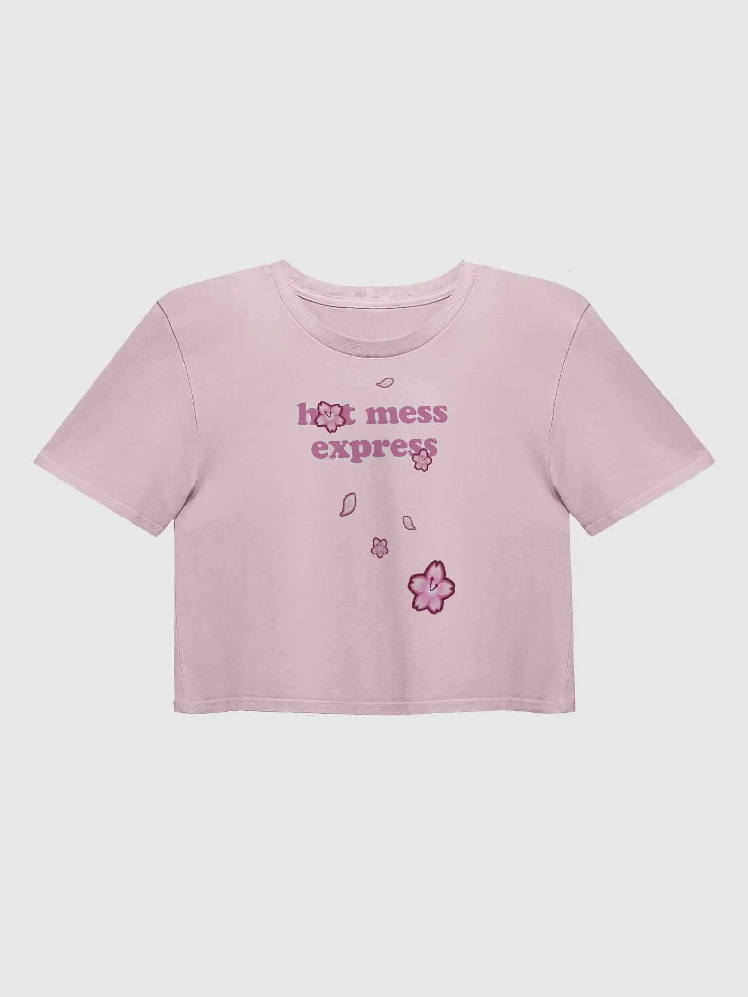 HOT MESS EXPRESS | CROP TOP product image (1)