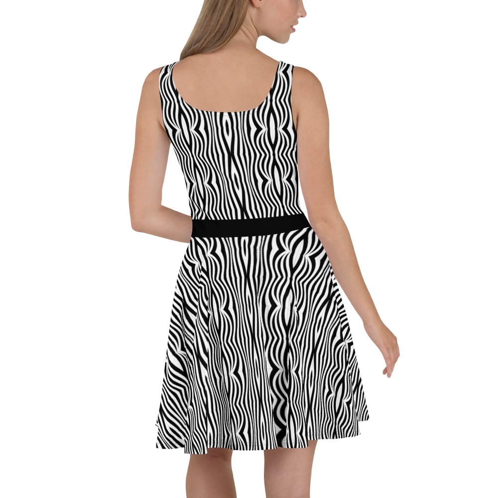 Groovy Lines Zebra Print Dress product image (3)