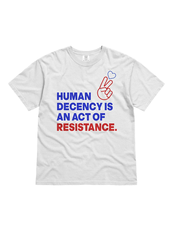 HUMAN DECENCY IS AN ACT OF RESISTANCE product image (1)