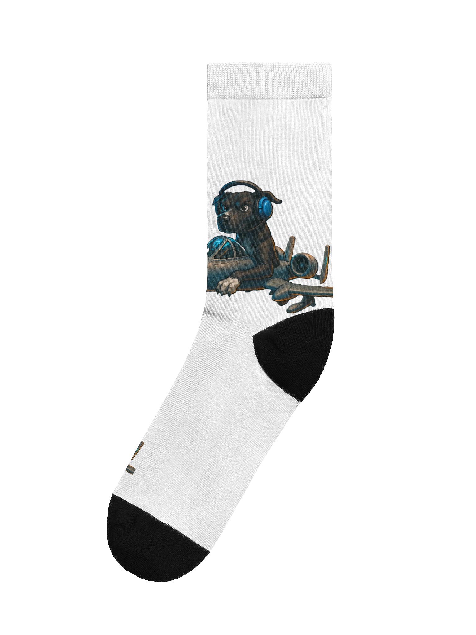 RAYNES SOCKS product image (1)