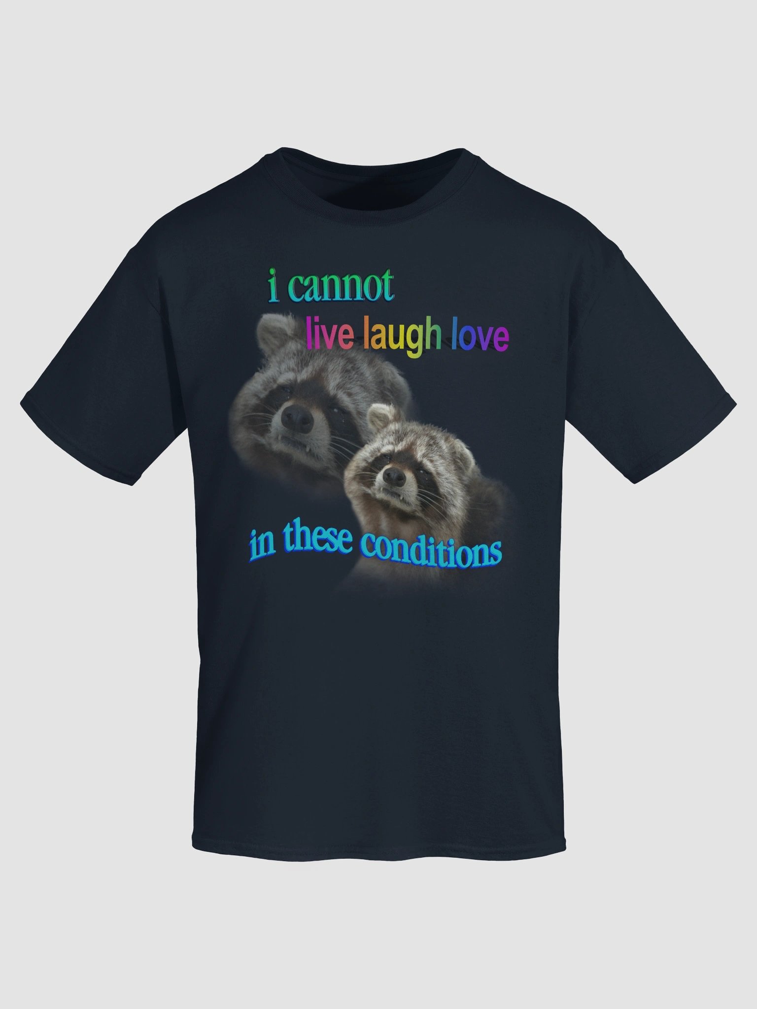 I cannot live laugh love in these conditions - raccoon T-shirt product image (103)