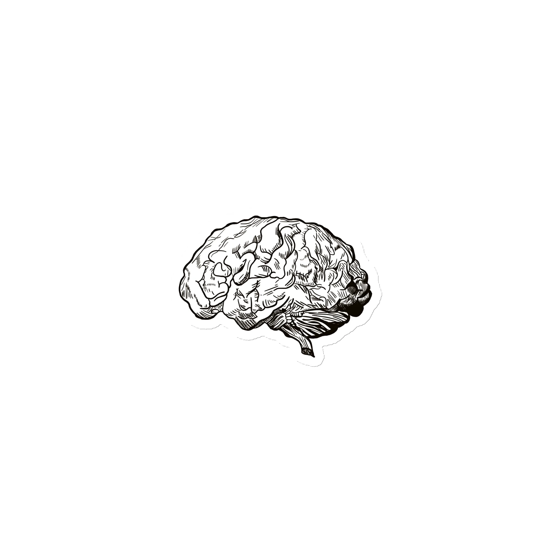 Brain Magnet product image (1)