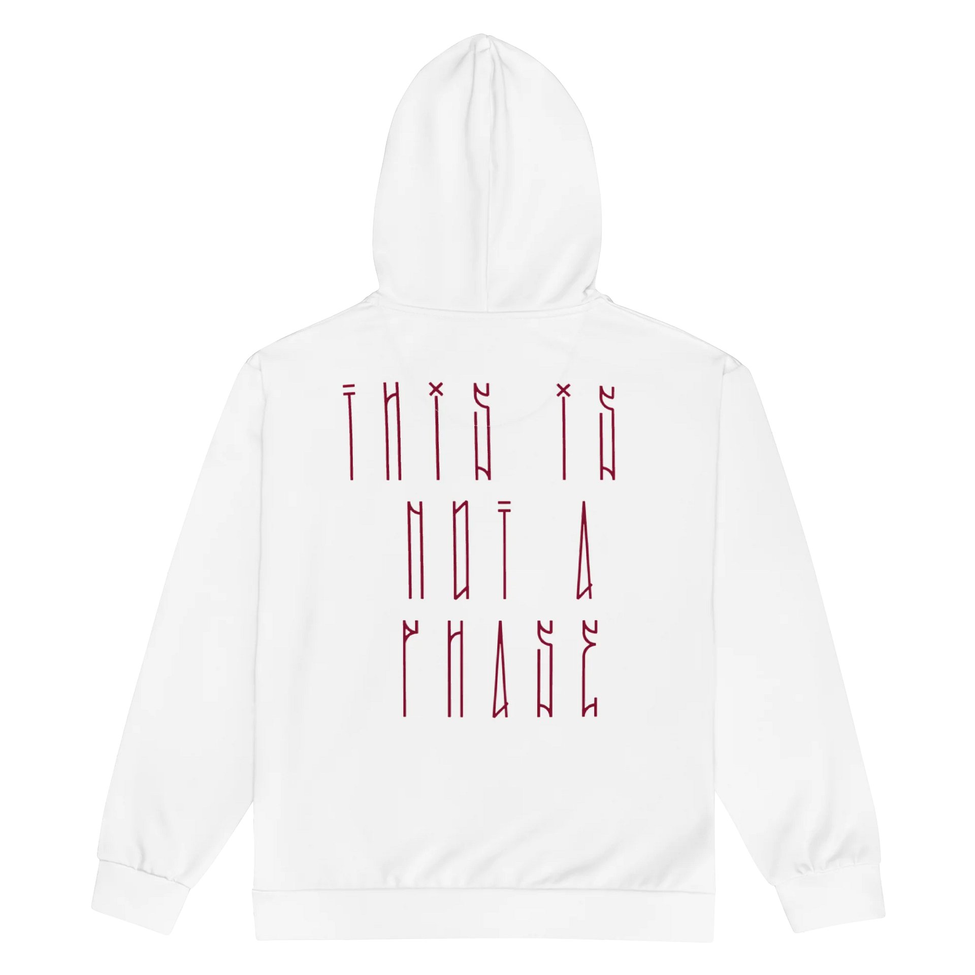 Not A Phase Zip Hoodie product image (2)