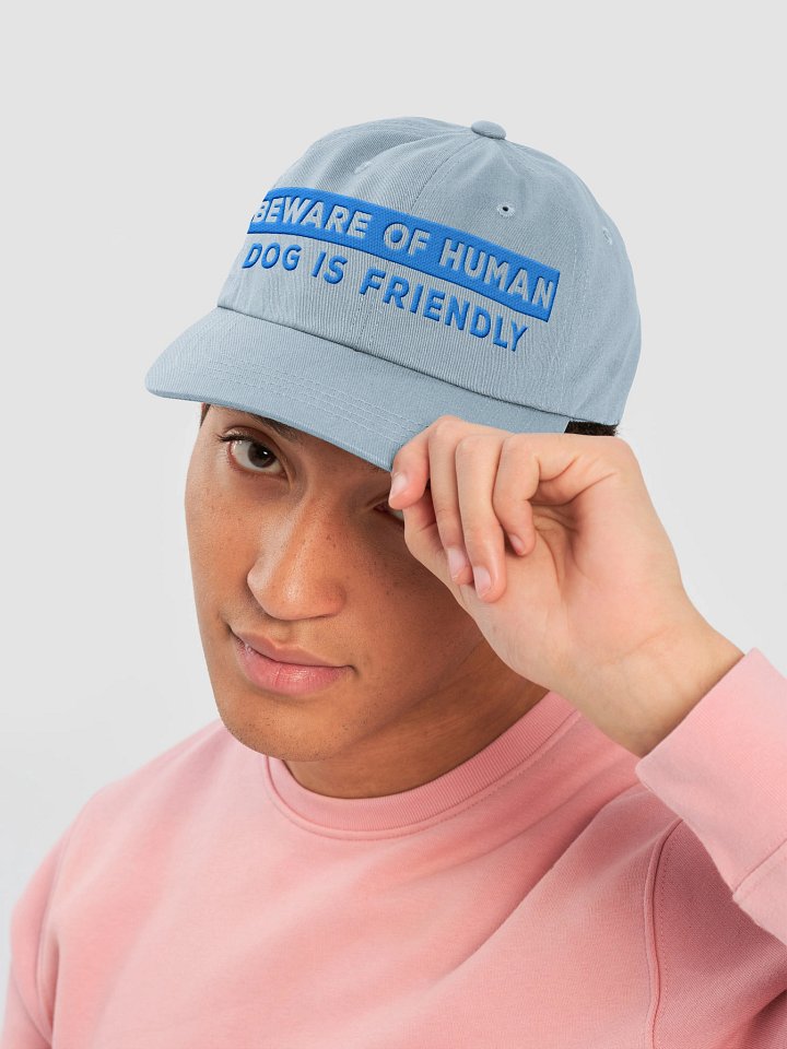 Beware of Human. Dog Is Friendly (Embroidered) Low Contrast (Aqua)Classic Dad Hat product image (2)