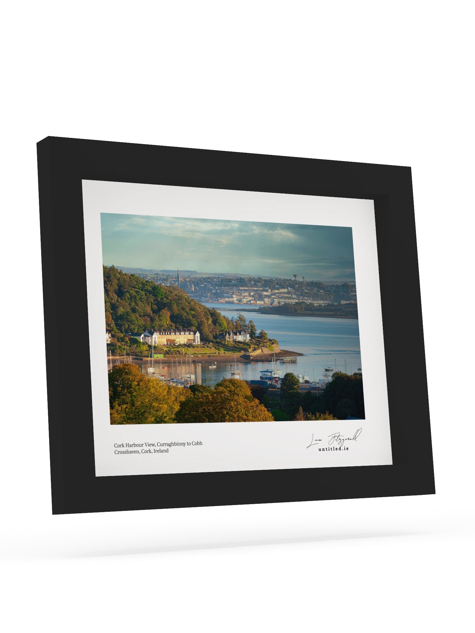 Cork Harbour View - Curaghbinny to Cobh product image (3)
