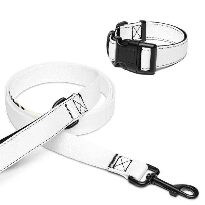 Honey (Pet Collar & Leash) product image (1)