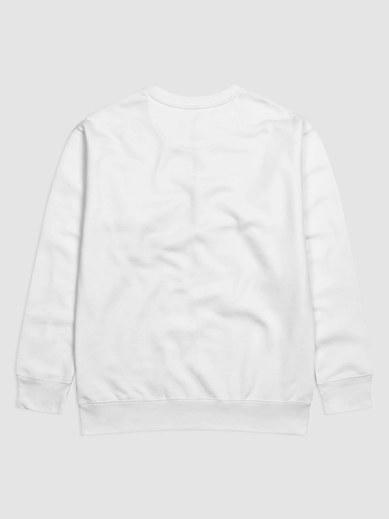 ppim Premium Sweatshirt Light with Small Logo product image (8)