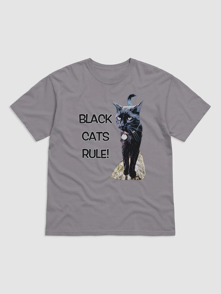 Dexter Barn Cat Celebration Tee product image (1)