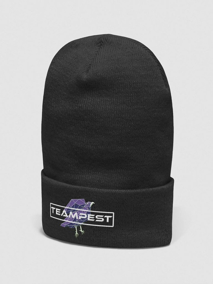 TeamPEST Black Beanie product image (2)