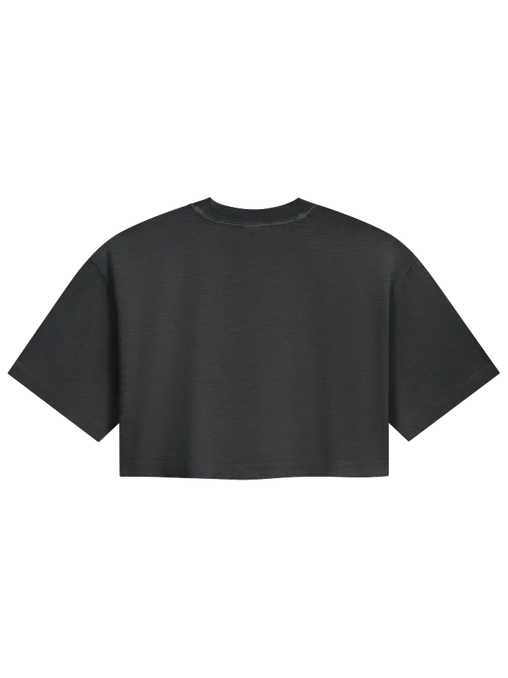 STFC Briefings Steel Collection Crop Top product image (4)