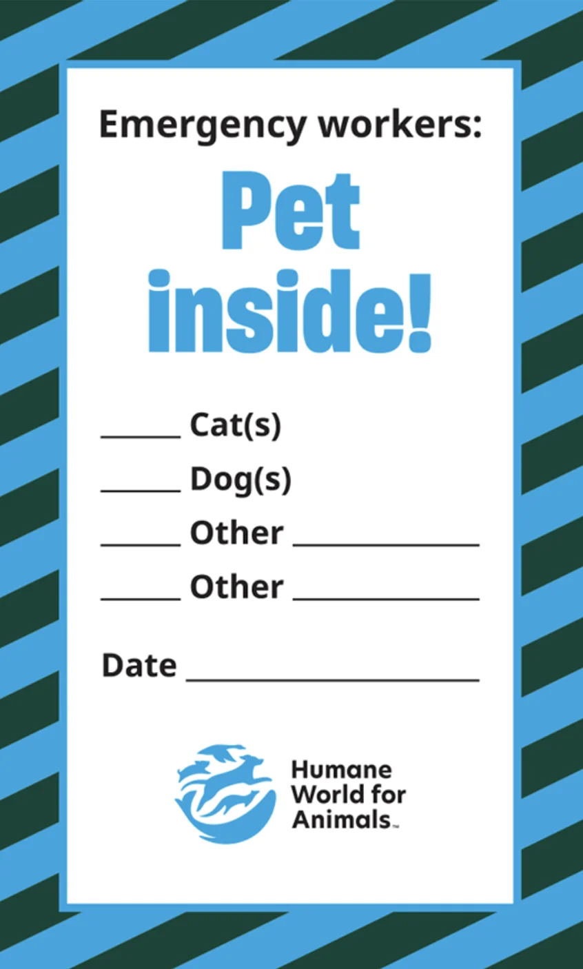 Pet Inside Window Cling product image (1)