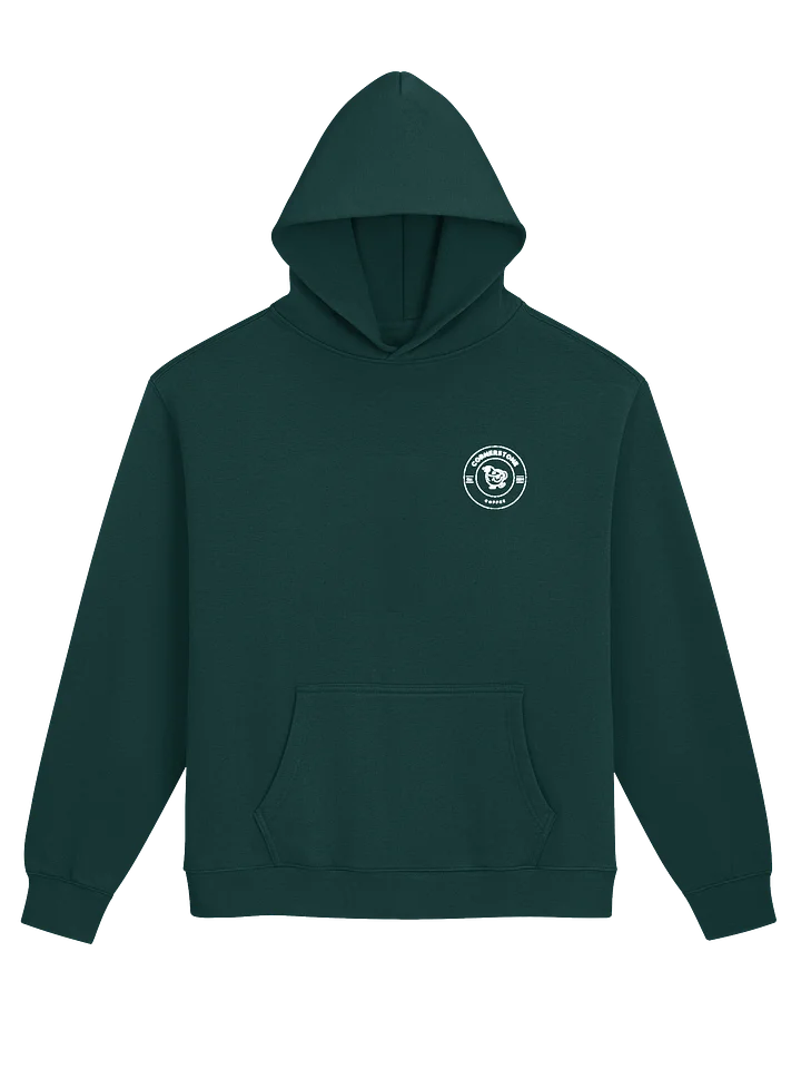 EMROIDERED LOGO HOODIE product image (1)