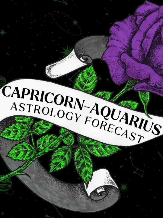 capricorn aquarius cusp ★ astrology tarot forecast ★ august 2026 product image (1)