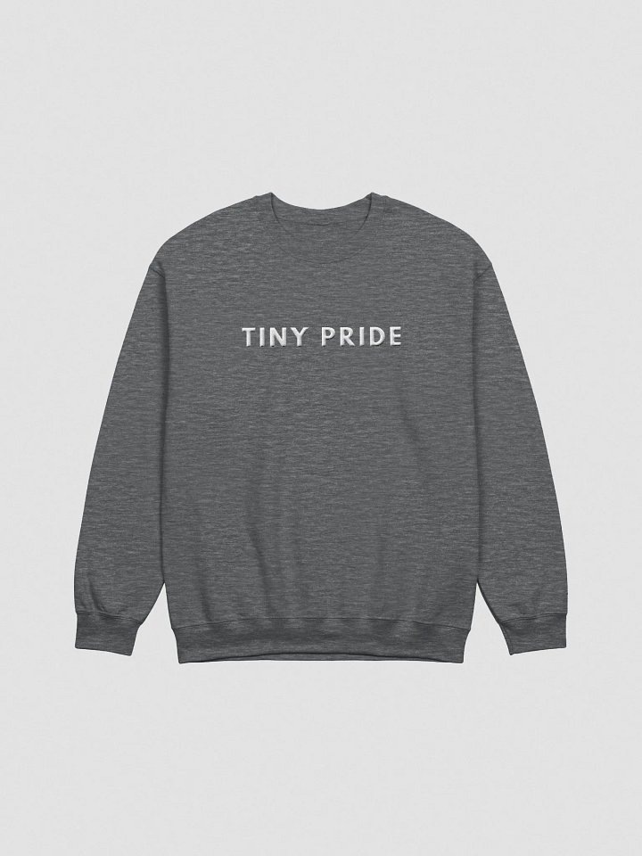 Tiny Pride Stitch Up product image (1)