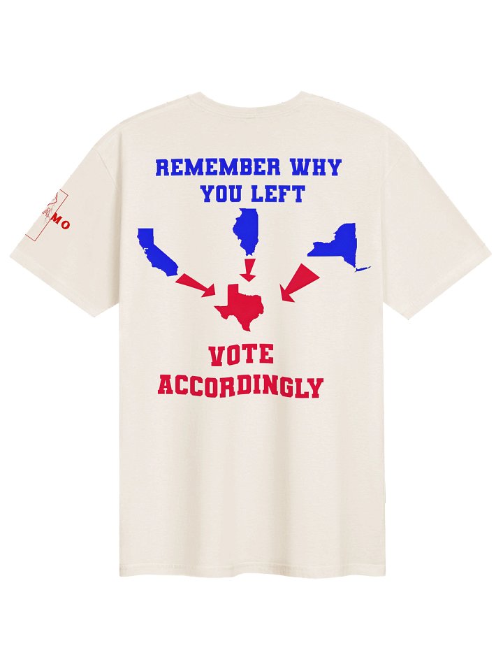 Vote Accordingly Texas product image (2)