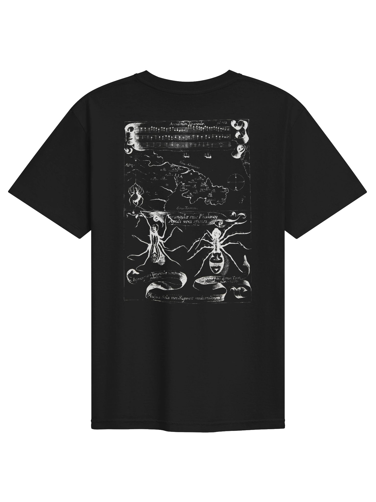 ANTIDOTUM TARANTULAE Tee - Black product image (1)