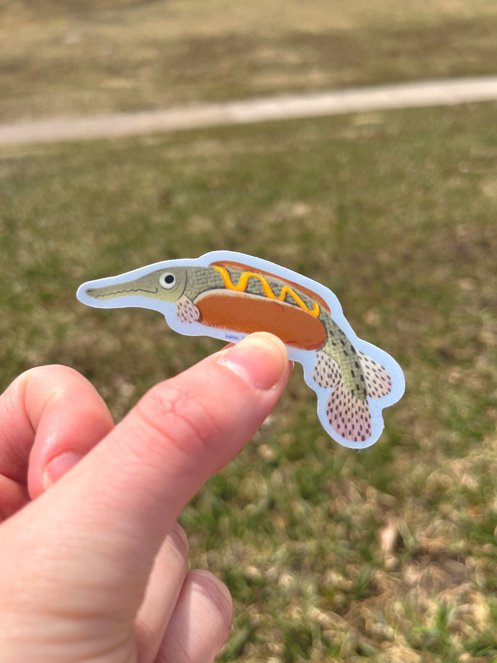 Hotdog Gar product image (2)
