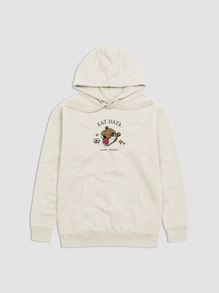 CHONKIE EMBROIDERED HOODIE product image (1)