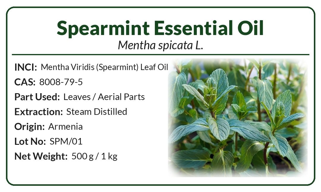 Spearmint Essential Oil (Mentha spicata L.) product image (2)