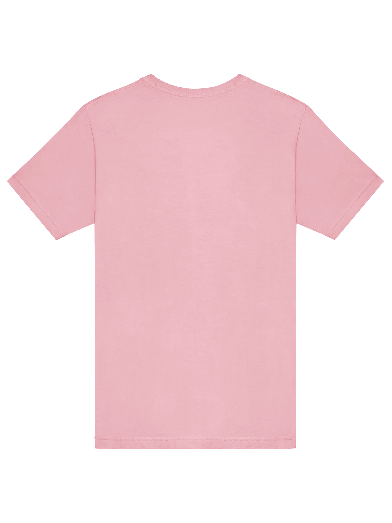 Holly Jolly Vibes T-Shirt product image (46)