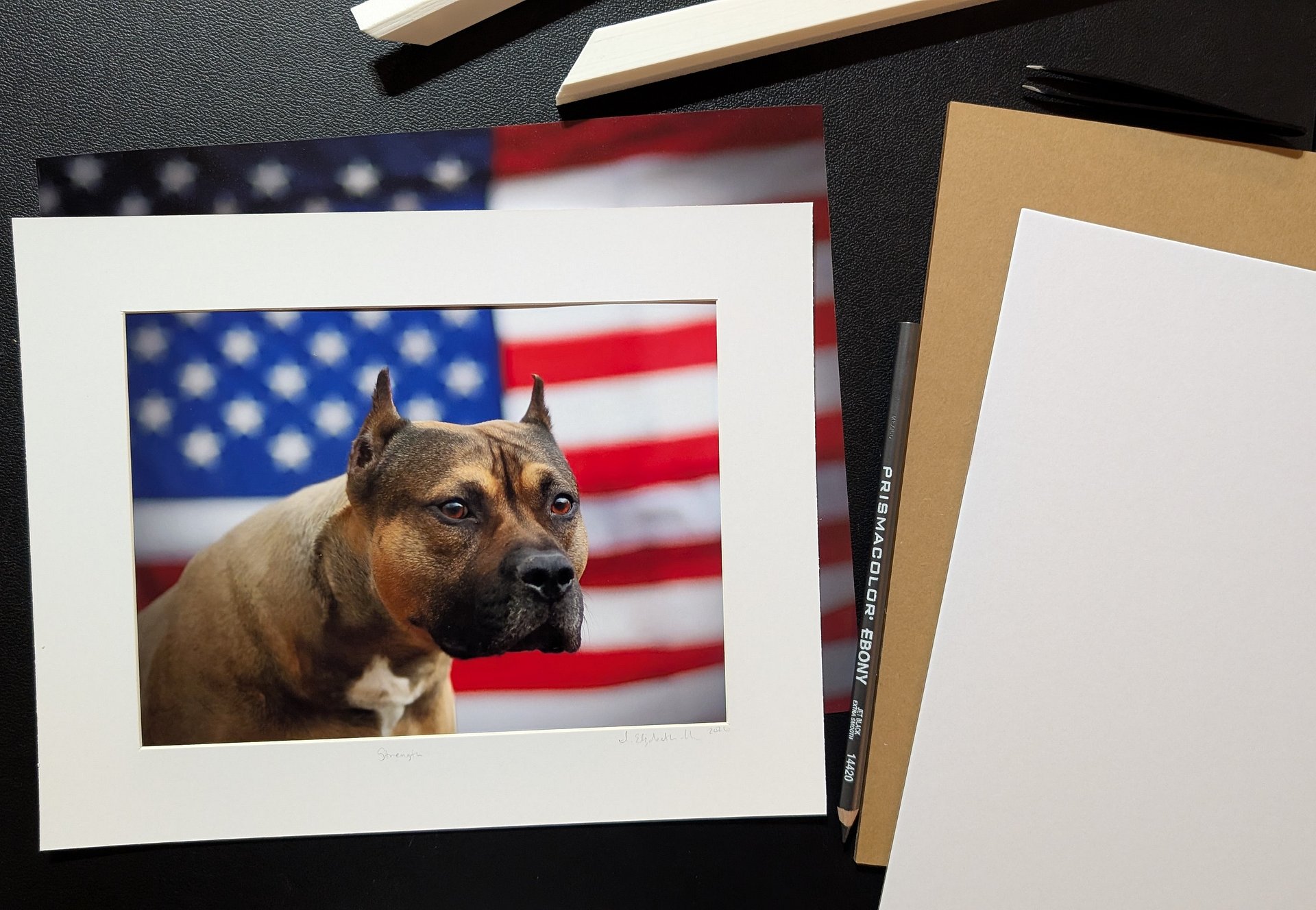 Strength Limited Edition Print – American Pit Bull Terrier USA Flag (Signed 5x7 matted 8x10) product image (1)