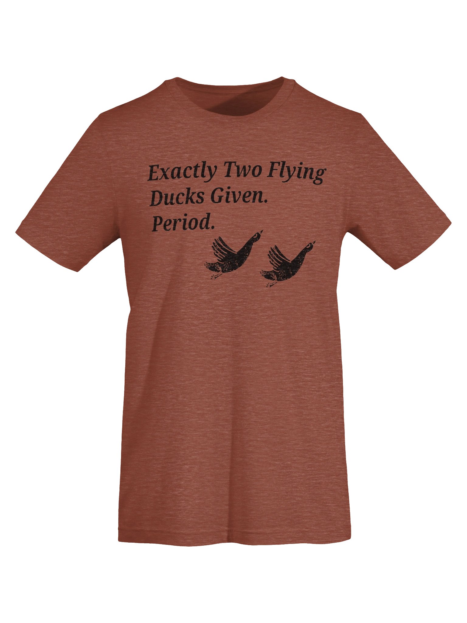 Exactly Two Flying Ducks Given product image (7)