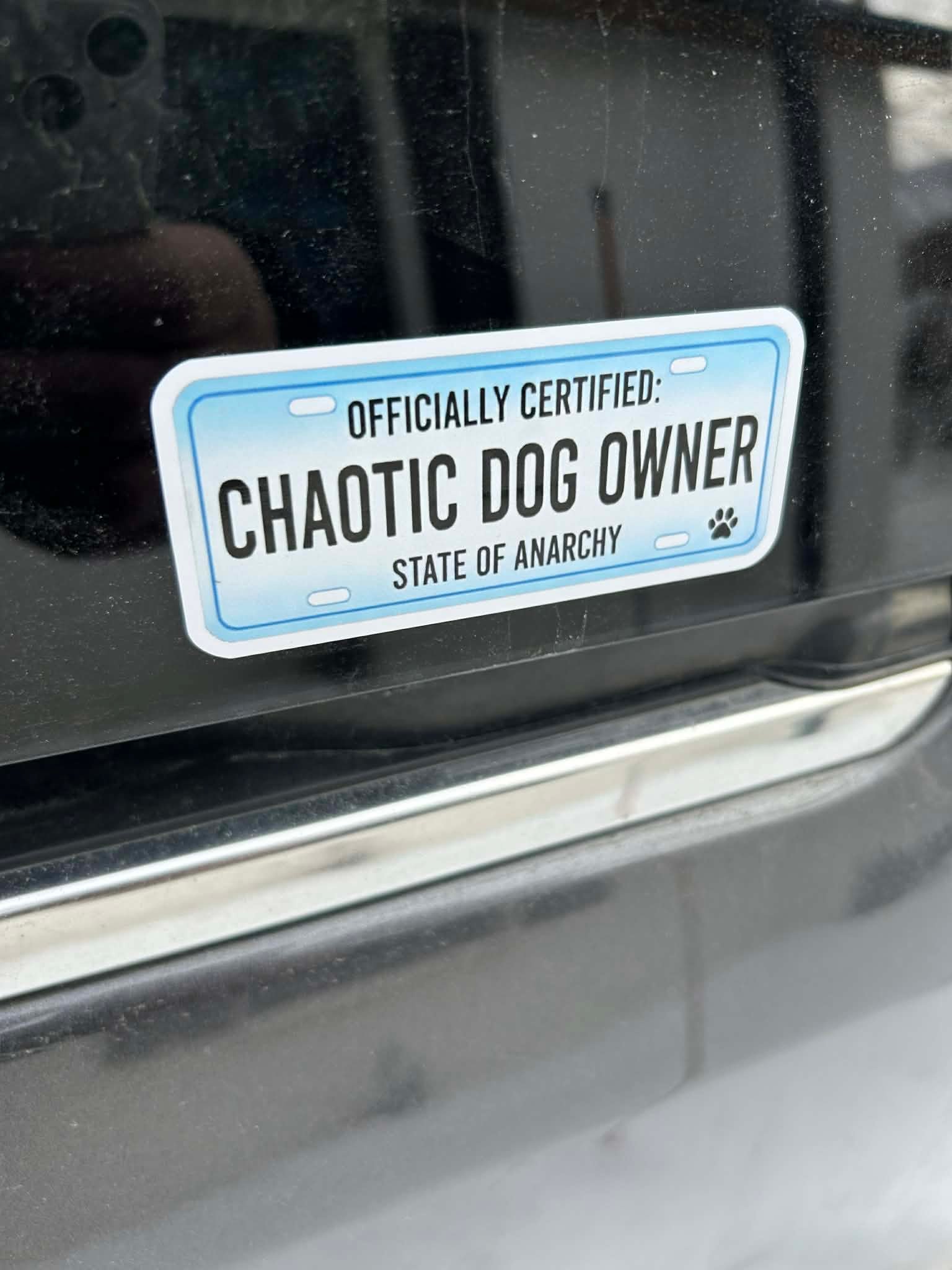 Official Chaotic Dog Owner Sticker Sheet product image (4)