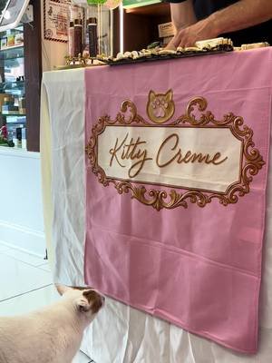 A most delightful evening at The Hibrary Club. 👑🐾✨ Kitty Creme officially welcomes Kadeem into the Kitty Crème Pies, and even Pepper had to stop by for a proper inspection of the display. 🐈‍⬛🤍 A gracious thank you to the Hibrary Club family for the warm welcome, the support, and the sweetest little visitor of the day.
