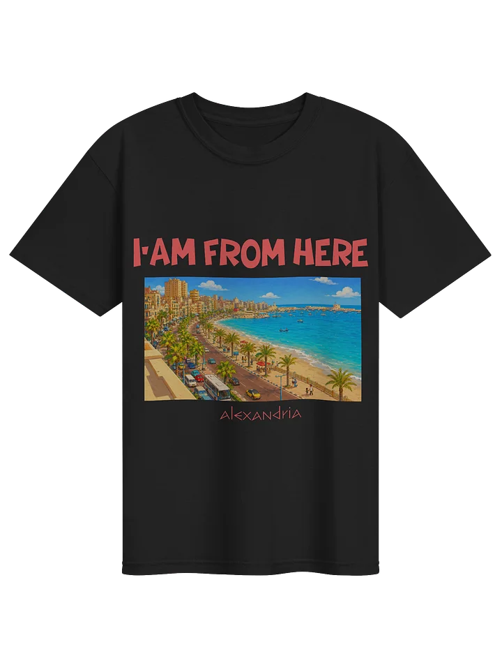 Alexandria T-Shirt (Heavyweight Fabric) product image (1)