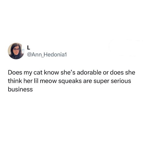 make sure you tell your cat they are so brave