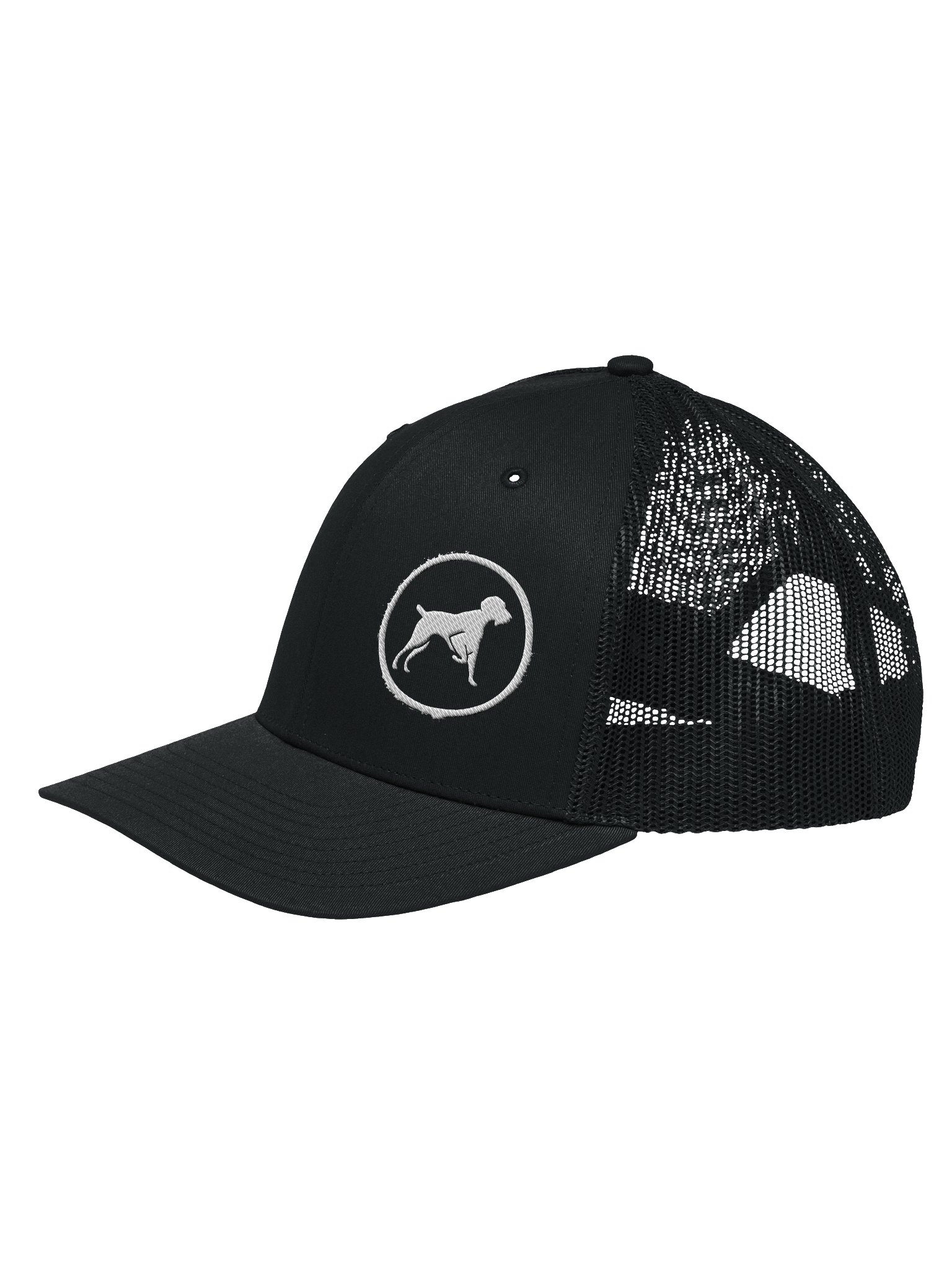 Bird Dogs Hat product image (2)