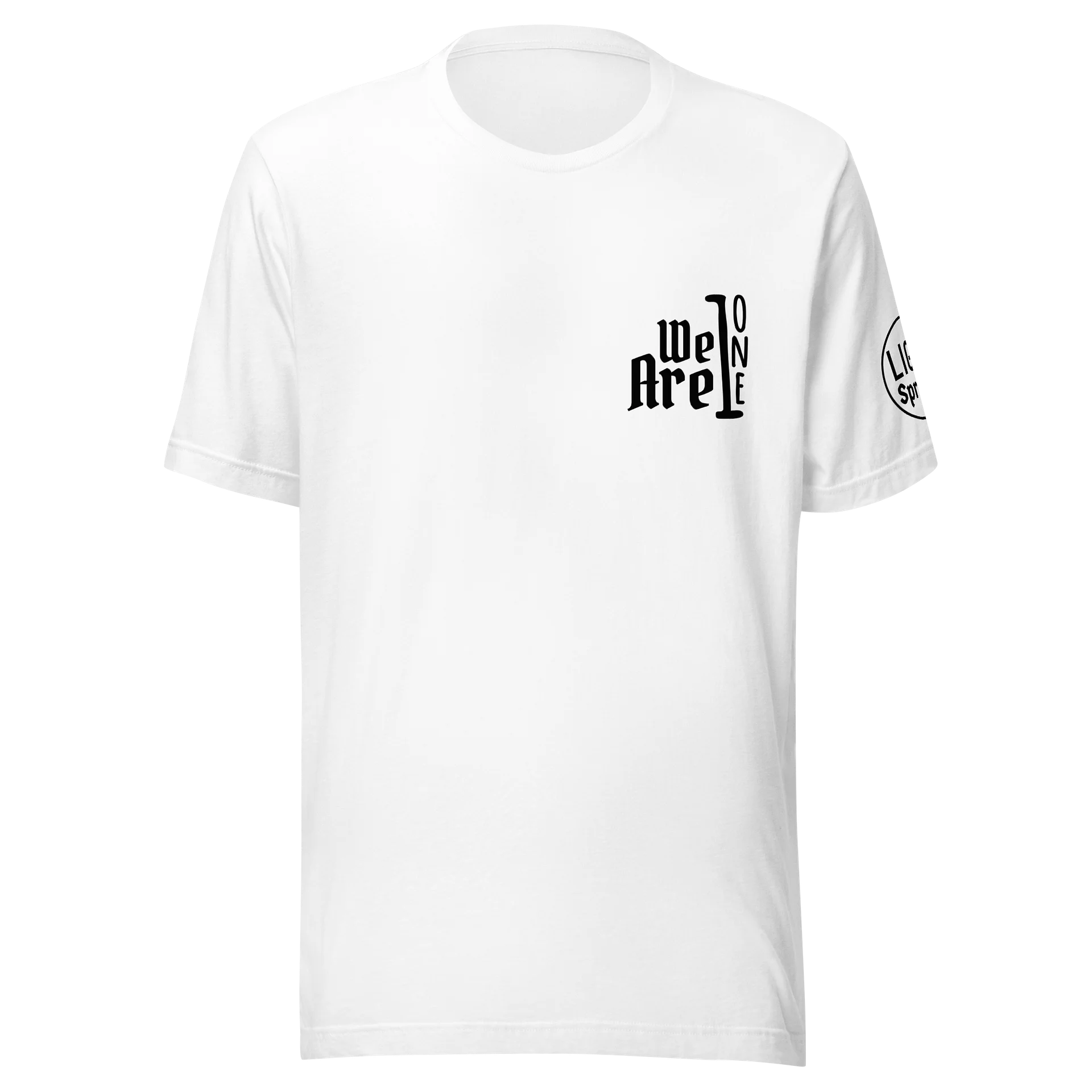 Tshirt All One in Christ product image (2)