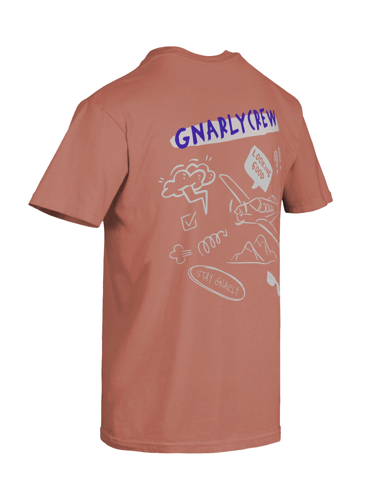 GC - Looking Good Tee product image (4)