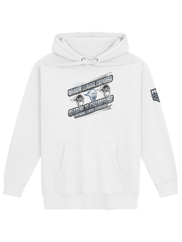 Blizzard Season 19 Champions Hoodie product image (2)