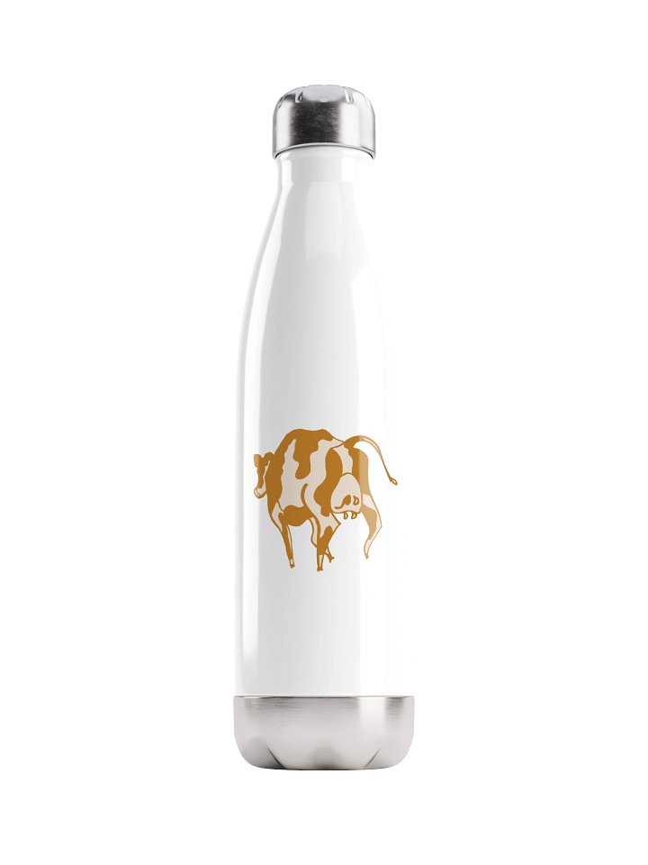 Carqamel - Stainless Steel Watter Bottle product image (1)