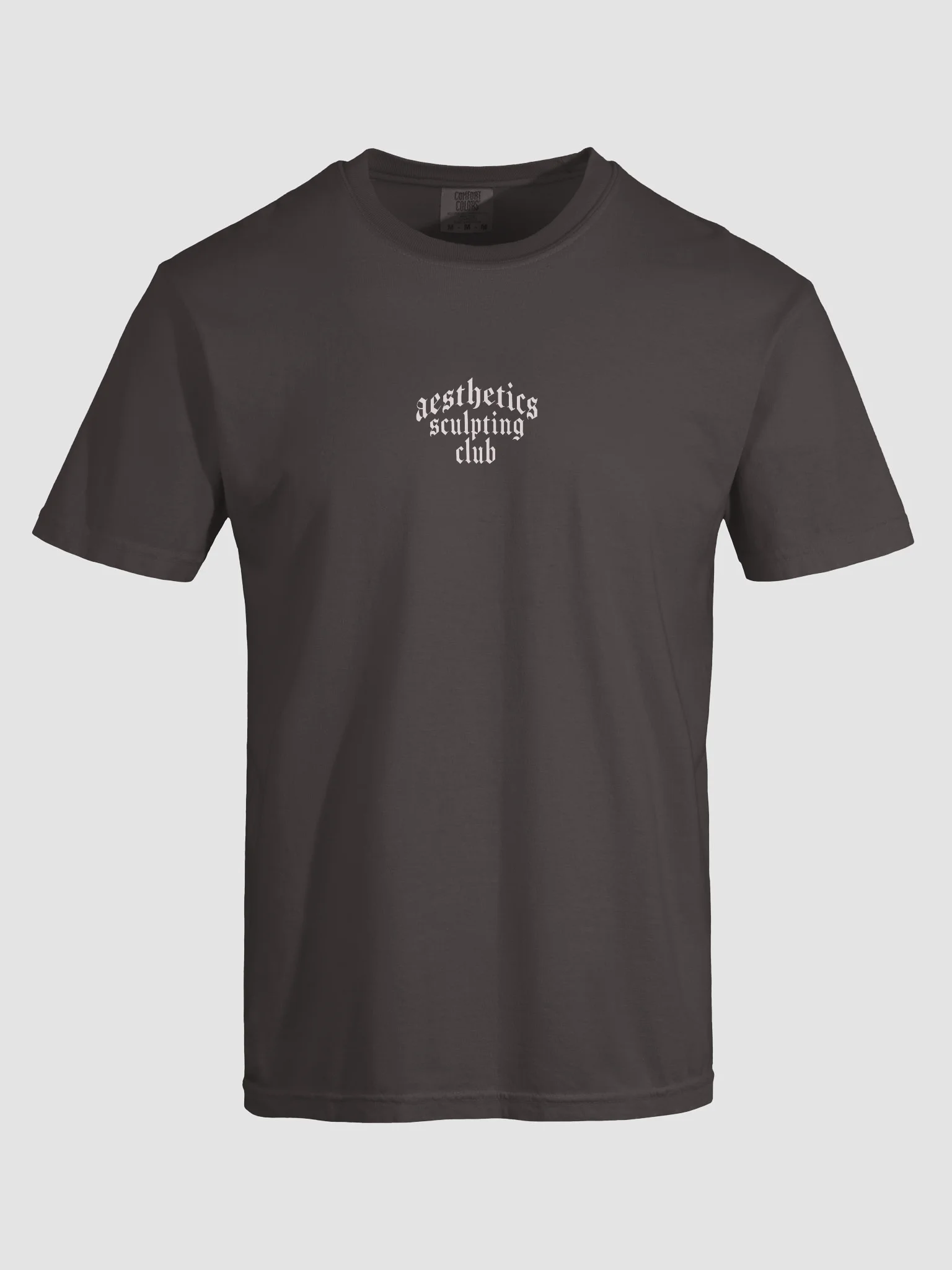 Aesthetics Sculpting Club Tee product image (12)