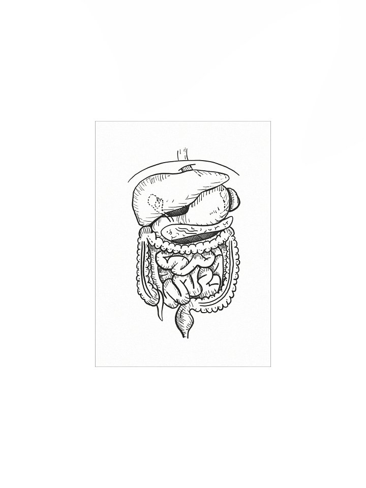 GI Tract Matte Poster product image (1)