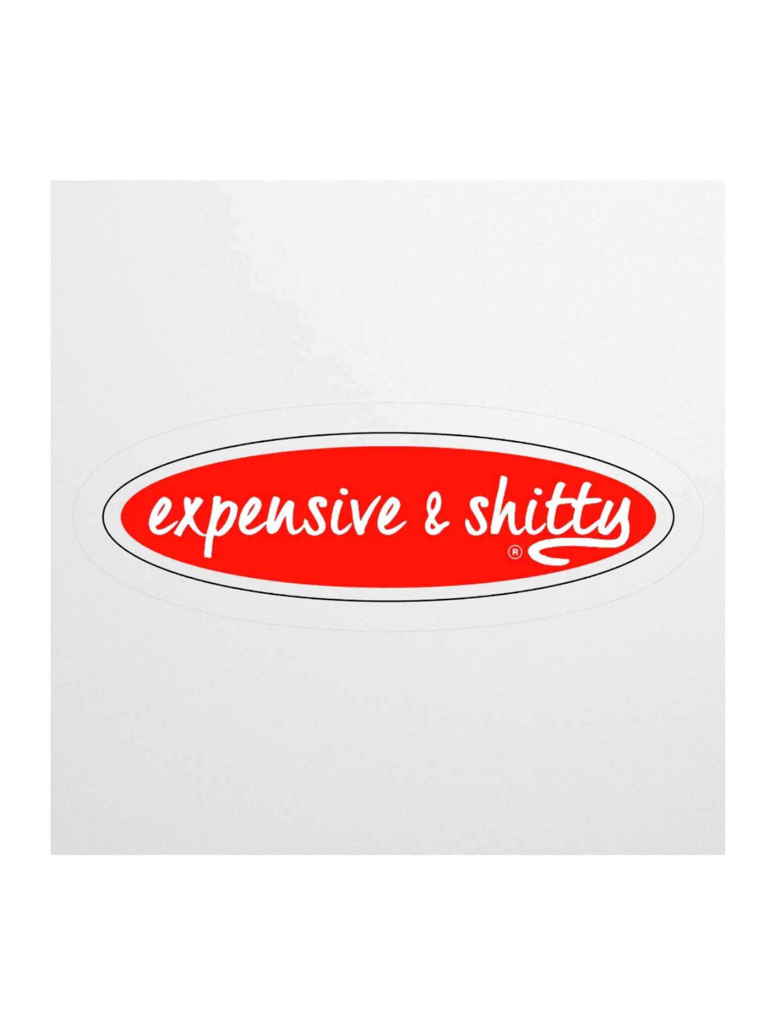 EXPENSIVE & SHITTY STICKER (SINGLE) product image (1)