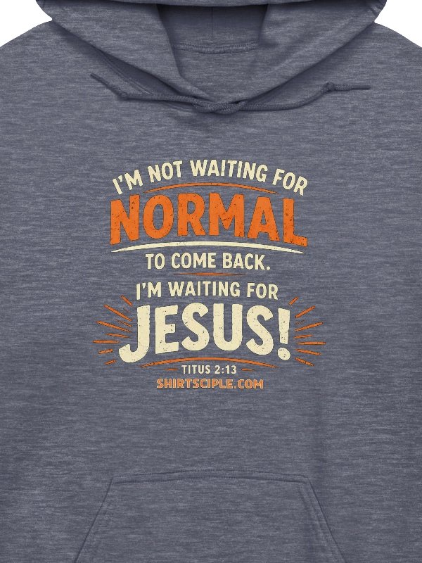 I'm Not Waiting For Normal Hoodie product image (2)