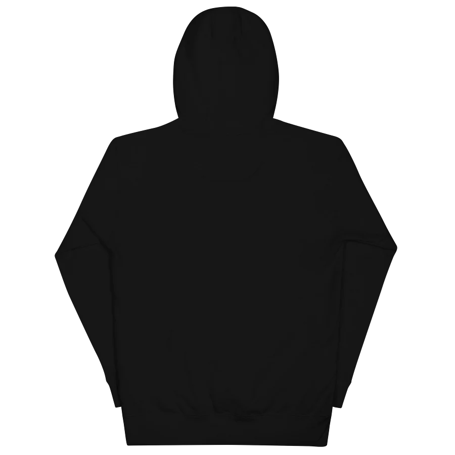 Panda Hoodie (Unisex) Image 2