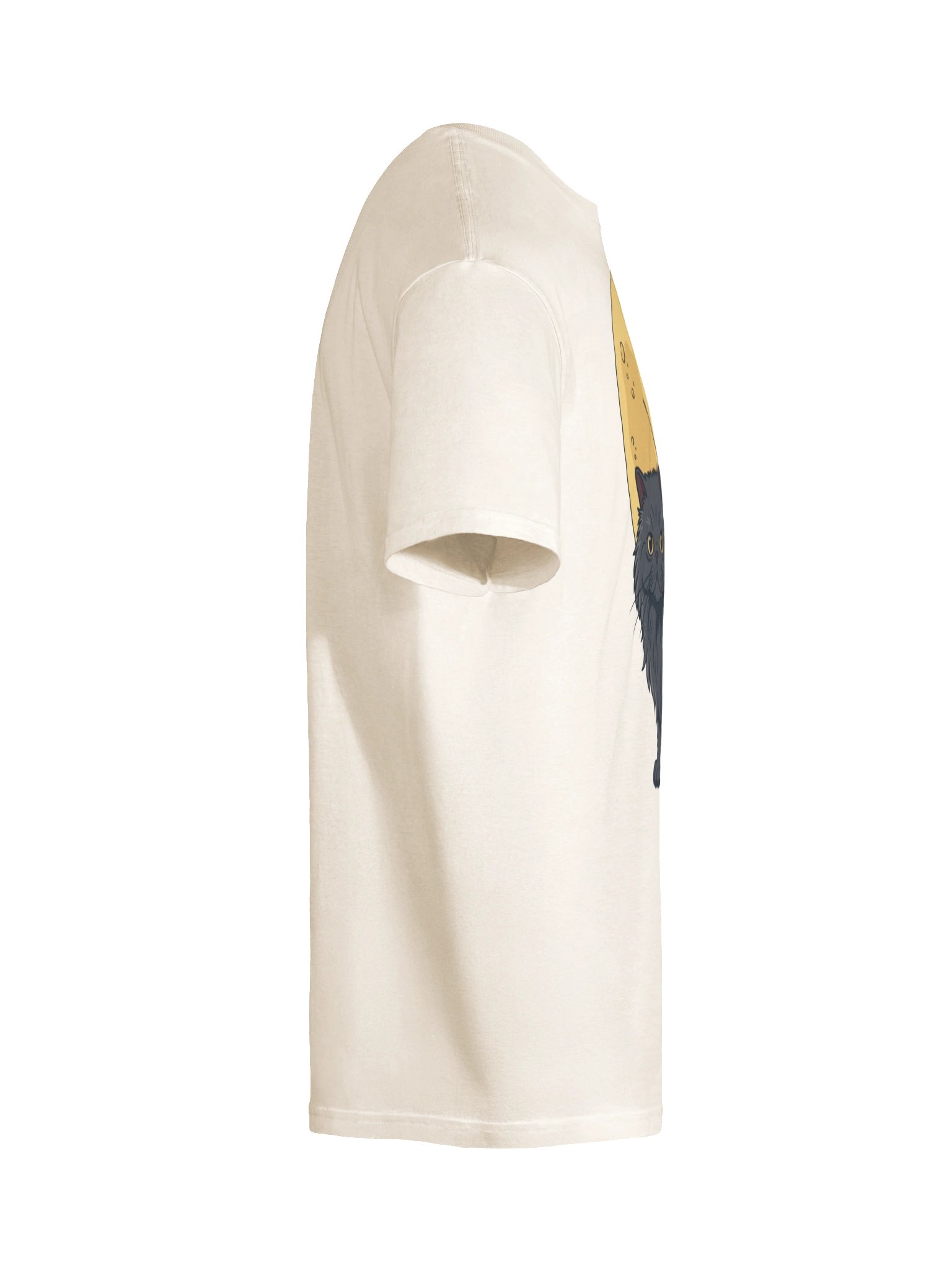 Moon Witch Persian Cat Shirt product image (11)