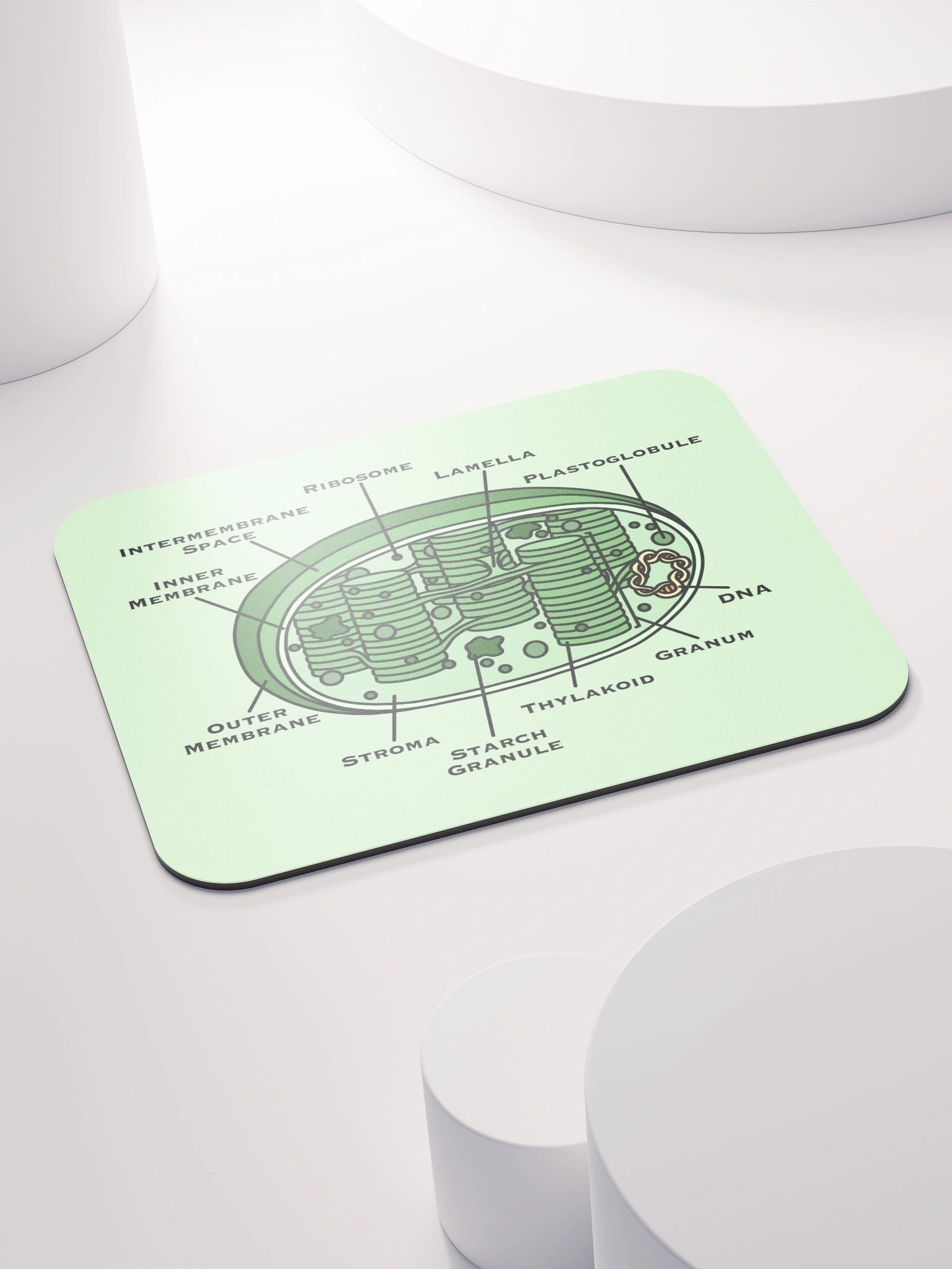 Chloroplast Diagram Mousepad product image (4)