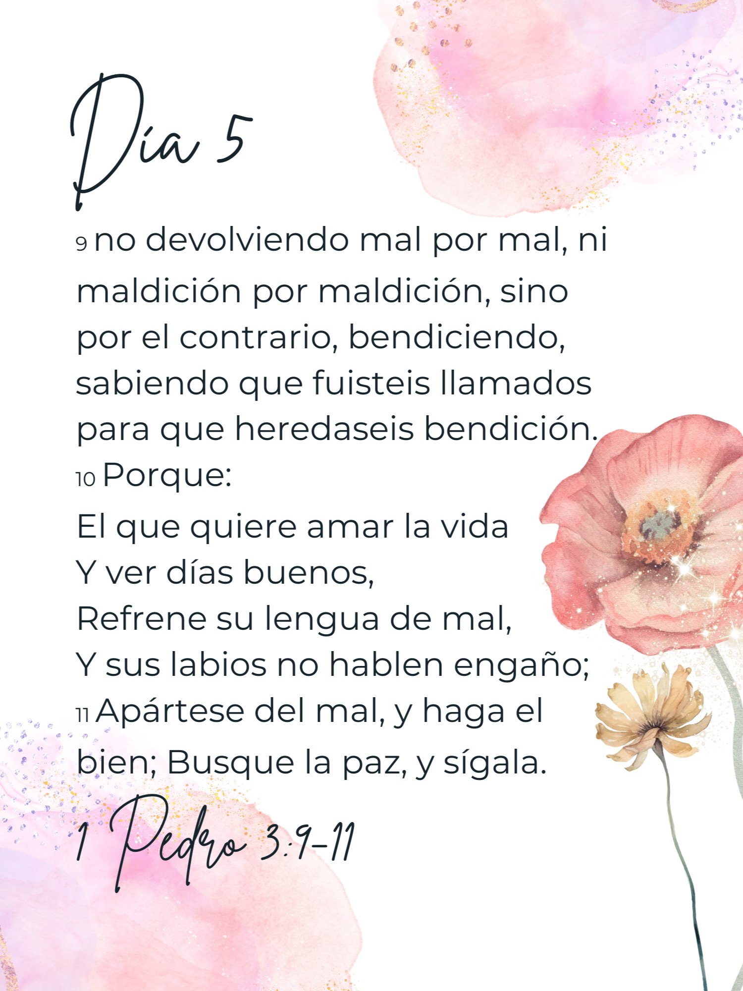 Bundle para renovar tu mente product image (4)