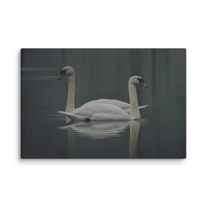 Emilia Elec Promise product image (1)