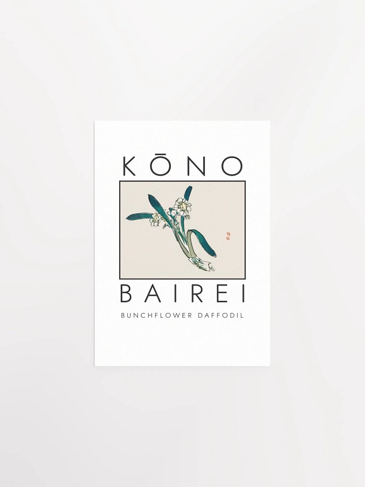 Kono Bairei Bunchflower Daffodil Poster product image (5)