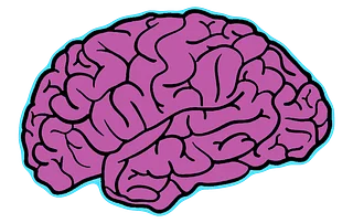 Braingap