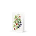 Wild Strawberry &amp; Blackberry Watercolor Greeting Card