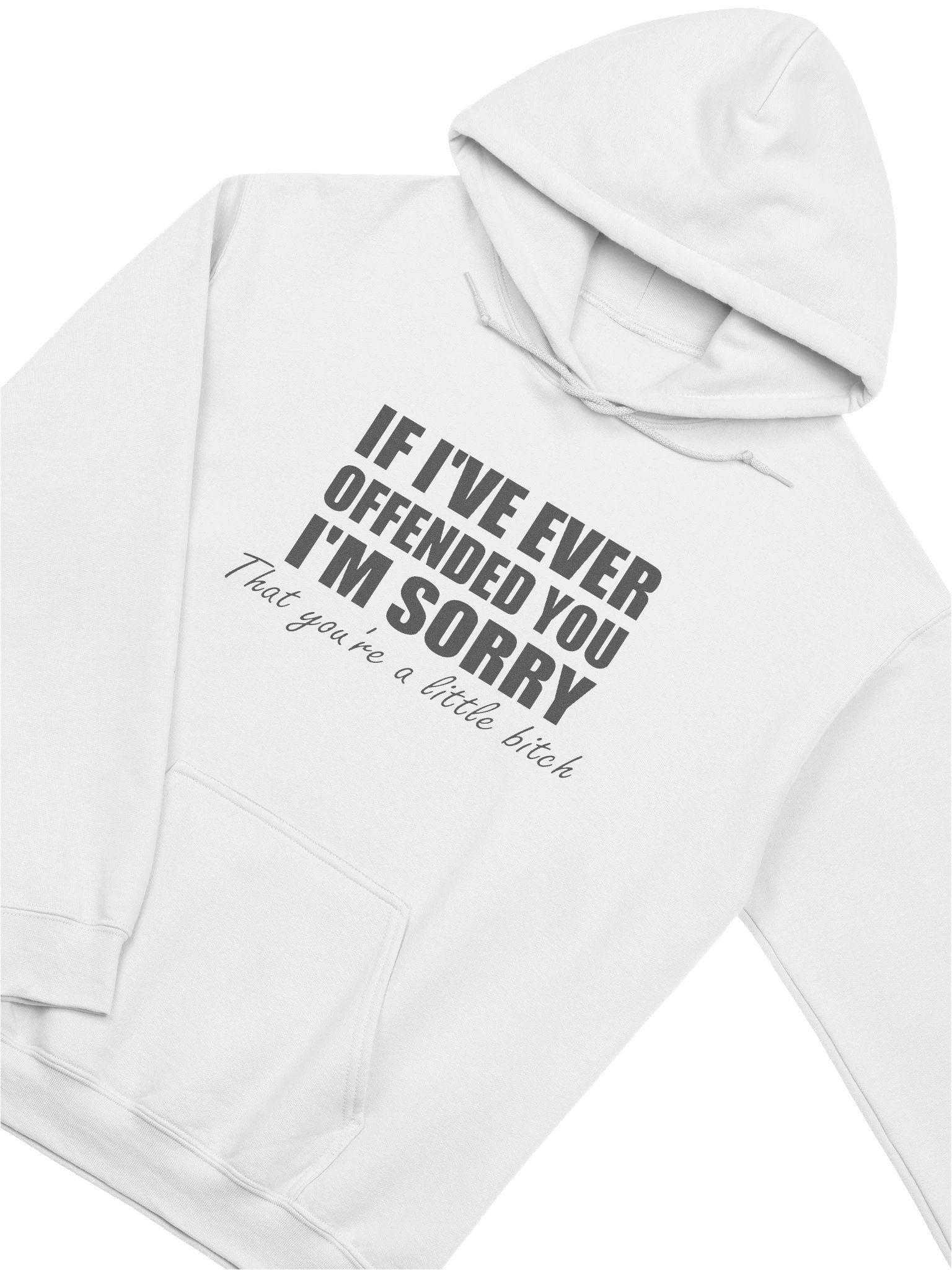 If I've Ever Offended You I'm Sorry That You're A Little Bitch Hoodie product image (3)