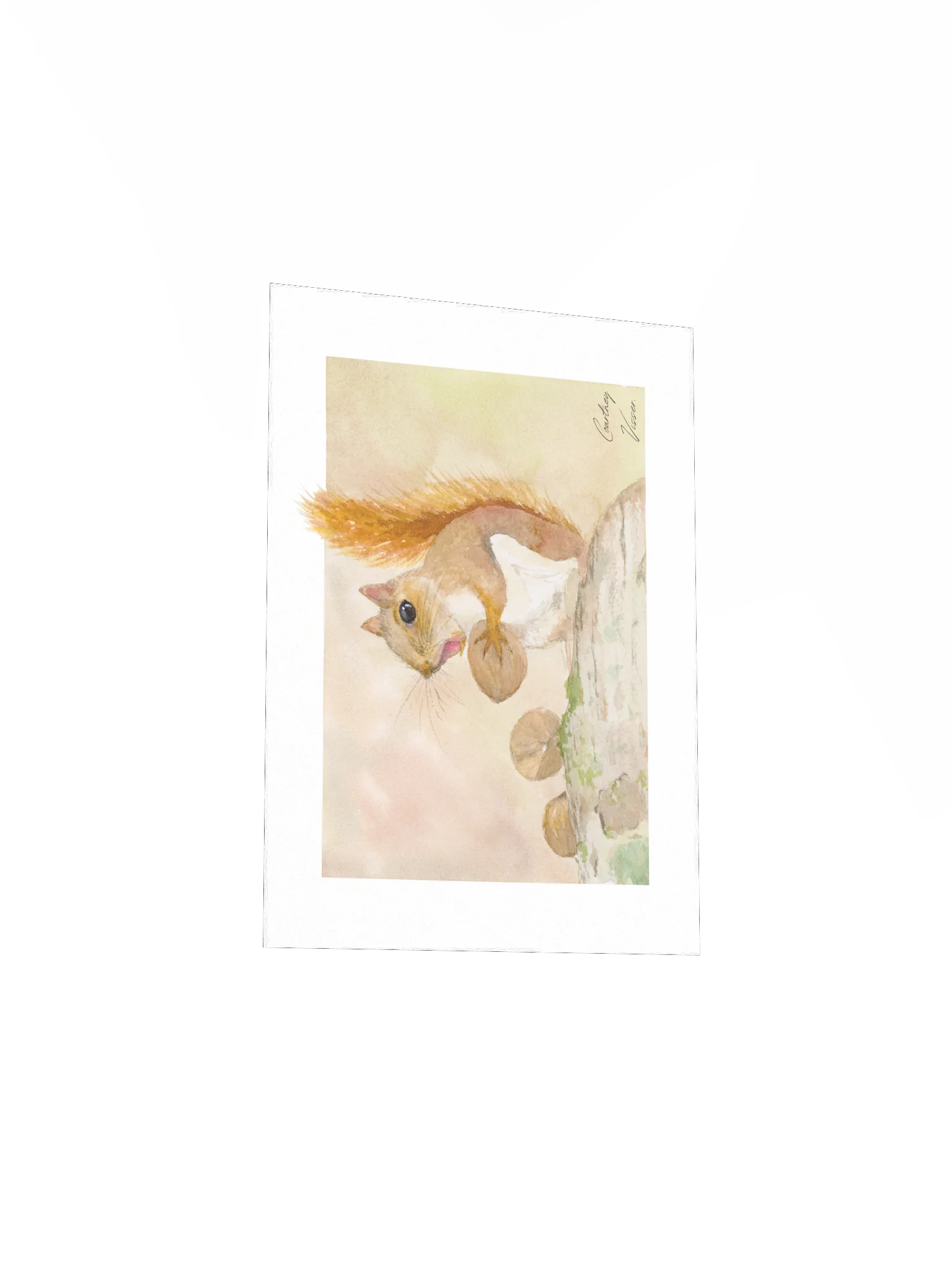 Squirrel print product image (4)