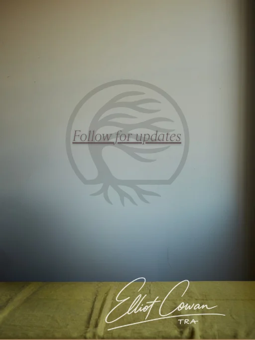 The Resilient Artist's Video Guide to Self-Tapesteem - eBook Discount! product image (4)